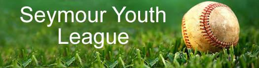 Seymour Youth League